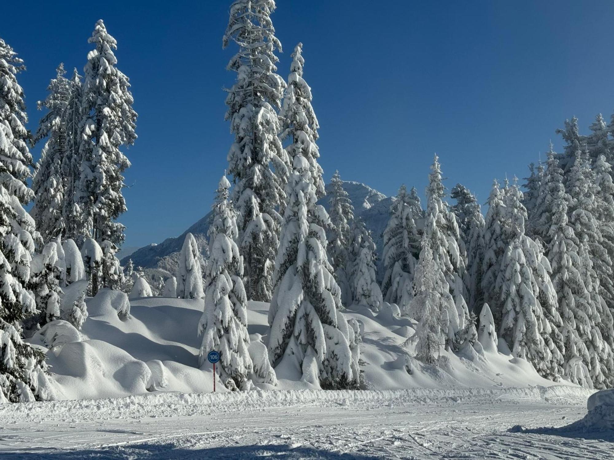 Appartement Erler Sankt Johann in Tirol Esterno foto