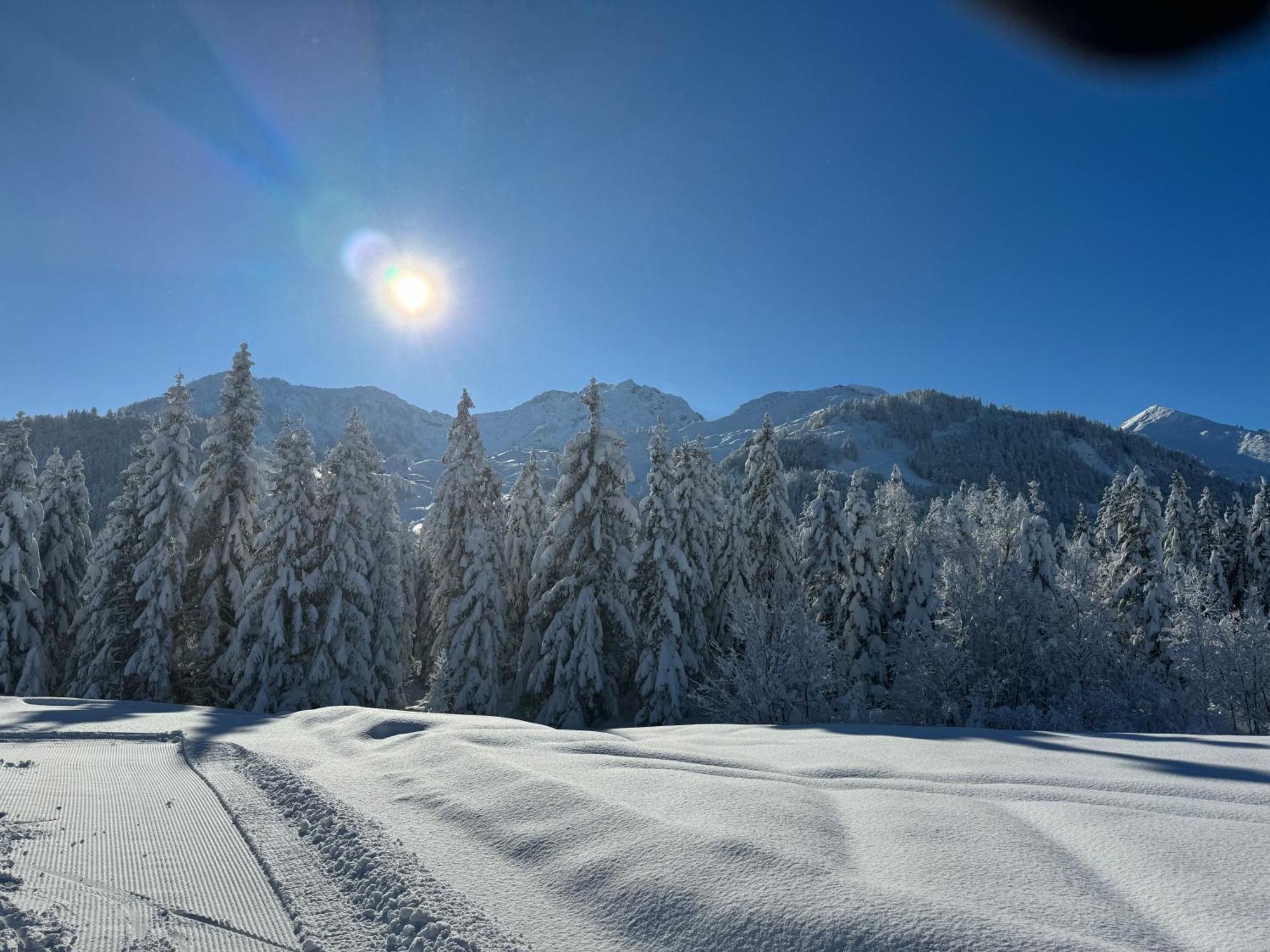 Appartement Erler Sankt Johann in Tirol Esterno foto